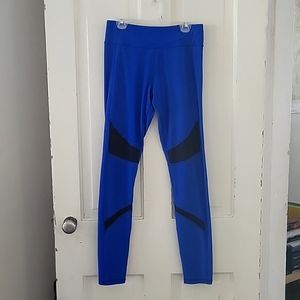 Electric Blue Leggings with Mesh Details